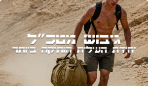 תכנית מקוונת לגיבוש מטכ”ל