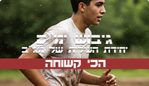תכנית מקוונת לגיבוש ימ”ס