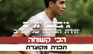 תכנית מקוונת מקוצרת לגיבוש ימ”ס