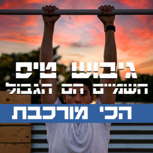 תכנית מקוונת לגיבוש טיס